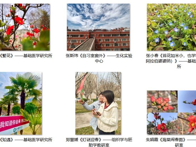 奋进“十五五”巾帼启新程——基础医学部分会开展纪念“三八”国际劳动妇女节摄影作品征集活动